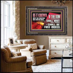 IF THE SON THEREFORE SHALL MAKE YOU FREE  Ultimate Inspirational Wall Art Wooden Frame  GWFAVOUR13066  "45X33"