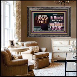 BE MERCIFUL UNTO ME UNTIL THESE CALAMITIES BE OVERPAST  Bible Verses Wall Art  GWFAVOUR13113  "45X33"