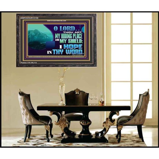 THOU ART MY HIDING PLACE AND SHIELD  Large Custom Wooden Frame   GWFAVOUR12159  