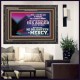 THE LORD DELIGHTETH IN MERCY  Contemporary Christian Wall Art Wooden Frame  GWFAVOUR10564  