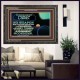 NO WEAPON THAT IS FORMED AGAINST THEE SHALL PROSPER  Custom Inspiration Scriptural Art Wooden Frame  GWFAVOUR10616  