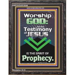 TESTIMONY OF JESUS IS THE SPIRIT OF PROPHECY  Kitchen Wall Décor  GWFAVOUR10046  "33x45"
