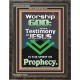 TESTIMONY OF JESUS IS THE SPIRIT OF PROPHECY  Kitchen Wall Décor  GWFAVOUR10046  