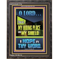 JEHOVAH OUR HIDING PLACE AND SHIELD  Encouraging Bible Verses Portrait  GWFAVOUR11778  "33x45"