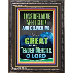 CONSIDER MINE AFFLICTION O LORD MY GOD  Christian Quote Portrait  GWFAVOUR11782  "33x45"