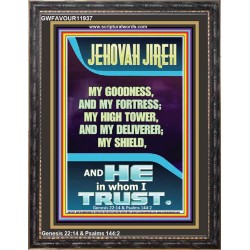 JEHOVAH JIREH MY GOODNESS MY HIGH TOWER MY DELIVERER MY SHIELD  Unique Power Bible Portrait  GWFAVOUR11937  "33x45"