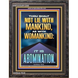 NEVER LIE WITH MANKIND AS WITH WOMANKIND IT IS ABOMINATION  Décor Art Works  GWFAVOUR12305  "33x45"