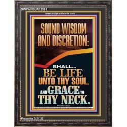 SOUND WISDOM AND DISCRETION SHALL BE LIFE UNTO THY SOUL  Bible Verse for Home Portrait  GWFAVOUR12391  "33x45"