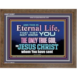 CHRIST JESUS THE ONLY WAY TO ETERNAL LIFE  Sanctuary Wall Wooden Frame  GWF10397  "45X33"