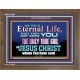 CHRIST JESUS THE ONLY WAY TO ETERNAL LIFE  Sanctuary Wall Wooden Frame  GWF10397  