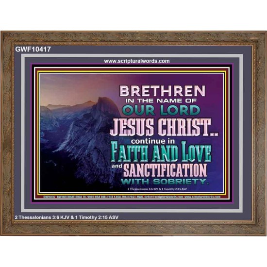 CONTINUE IN FAITH LOVE AND SANCTIFICATION WITH SOBRIETY  Unique Scriptural Wooden Frame  GWF10417  