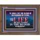 LIFE OF FLESH IS THE BLOOD EAT NO MANNER OF FLESH WITH BLOOD  Church Wooden Frame  GWF10422  