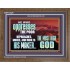 OPRRESSING THE POOR IS AGAINST THE WILL OF GOD  Large Scripture Wall Art  GWF10429  "45X33"