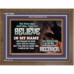 IN MY NAME SHALL THEY CAST OUT DEVILS  Christian Quotes Wooden Frame  GWF10460  "45X33"