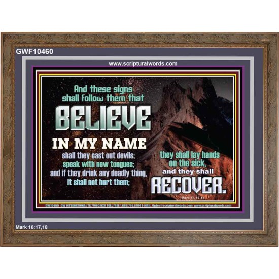 IN MY NAME SHALL THEY CAST OUT DEVILS  Christian Quotes Wooden Frame  GWF10460  