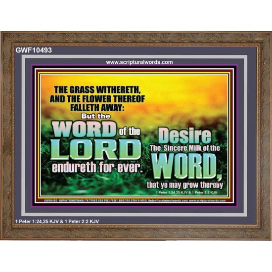 THE WORD OF THE LORD ENDURETH FOR EVER  Christian Wall Décor Wooden Frame  GWF10493  
