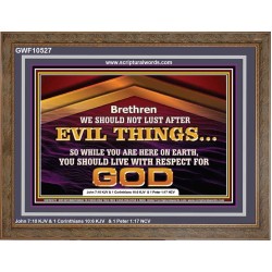 DO NOT LUST AFTER EVIL THINGS  Children Room Wall Wooden Frame  GWF10527  "45X33"