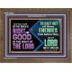 DO THAT WHICH IS RIGHT AND GOOD IN THE SIGHT OF THE LORD  Righteous Living Christian Wooden Frame  GWF10533  