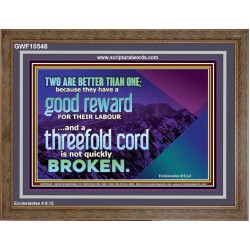 TWO ARE BETTER THAN ONE  Contemporary Christian Wall Art Wooden Frame  GWF10548  "45X33"