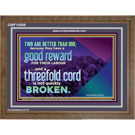 TWO ARE BETTER THAN ONE  Contemporary Christian Wall Art Wooden Frame  GWF10548  