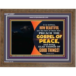THE FEET OF THOSE WHO PREACH THE GOOD NEWS  Christian Quote Wooden Frame  GWF10557  "45X33"