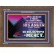 THE LORD DELIGHTETH IN MERCY  Contemporary Christian Wall Art Wooden Frame  GWF10564  