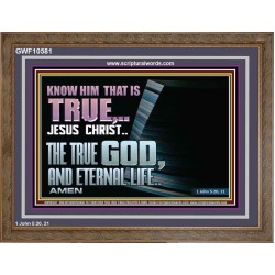 JESUS CHRIST THE TRUE GOD AND ETERNAL LIFE  Christian Wall Art  GWF10581  "45X33"