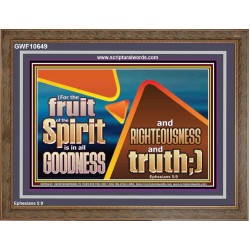 FRUIT OF THE SPIRIT IS IN ALL GOODNESS RIGHTEOUSNESS AND TRUTH  Eternal Power Picture  GWF10649  "45X33"