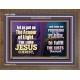 THE ARMOUR OF LIGHT OUR LORD JESUS CHRIST  Ultimate Inspirational Wall Art Wooden Frame  GWF10689  
