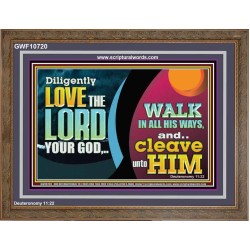 DILIGENTLY LOVE THE LORD WALK IN ALL HIS WAYS  Unique Scriptural Wooden Frame  GWF10720  "45X33"