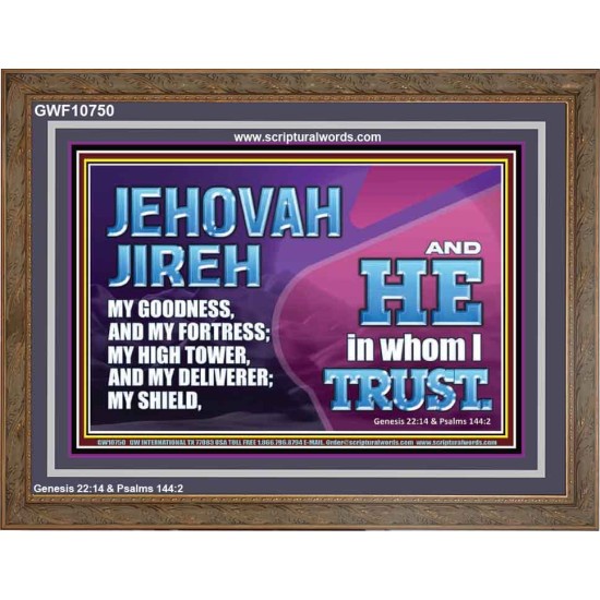 JEHOVAH JIREH OUR GOODNESS FORTRESS HIGH TOWER DELIVERER AND SHIELD  Encouraging Bible Verses Wooden Frame  GWF10750  