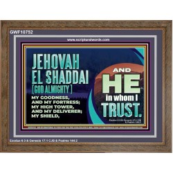 JEHOVAH EL SHADDAI GOD ALMIGHTY OUR GOODNESS FORTRESS HIGH TOWER DELIVERER AND SHIELD  Christian Quotes Wooden Frame  GWF10752  "45X33"