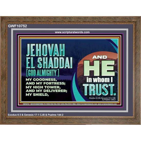 JEHOVAH EL SHADDAI GOD ALMIGHTY OUR GOODNESS FORTRESS HIGH TOWER DELIVERER AND SHIELD  Christian Quotes Wooden Frame  GWF10752  
