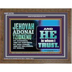 JEHOVAH ADONAI TZIDKENU OUR RIGHTEOUSNESS OUR GOODNESS FORTRESS HIGH TOWER DELIVERER AND SHIELD  Christian Quotes Wooden Frame  GWF10753  "45X33"