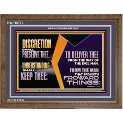 DISCRETION WILL WATCH OVER YOU UNDERSTANDING WILL GUARD YOU  Bible Verses Wall Art  GWF10773  "45X33"