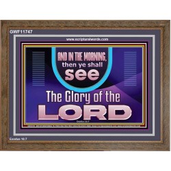 IN THE MORNING YOU SHALL SEE THE GLORY OF THE LORD  Unique Power Bible Picture  GWF11747  "45X33"