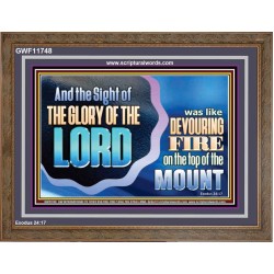 THE SIGHT OF THE GLORY OF THE LORD IS LIKE A DEVOURING FIRE ON THE TOP OF THE MOUNT  Righteous Living Christian Picture  GWF11748  "45X33"