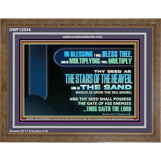 IN BLESSING I WILL BLESS THEE  Sanctuary Wall Wooden Frame  GWF12034  