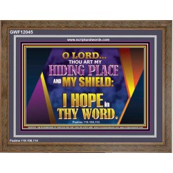 THOU ART MY HIDING PLACE AND SHIELD  Bible Verses Wall Art Wooden Frame  GWF12045  "45X33"