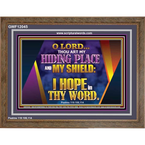 THOU ART MY HIDING PLACE AND SHIELD  Bible Verses Wall Art Wooden Frame  GWF12045  