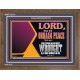 THE LORD WILL ORDAIN PEACE FOR US  Large Wall Accents & Wall Wooden Frame  GWF12113  