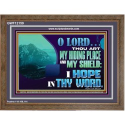 THOU ART MY HIDING PLACE AND SHIELD  Large Custom Wooden Frame   GWF12159  "45X33"