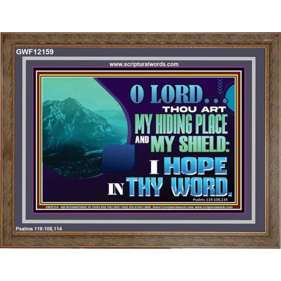 THOU ART MY HIDING PLACE AND SHIELD  Large Custom Wooden Frame   GWF12159  
