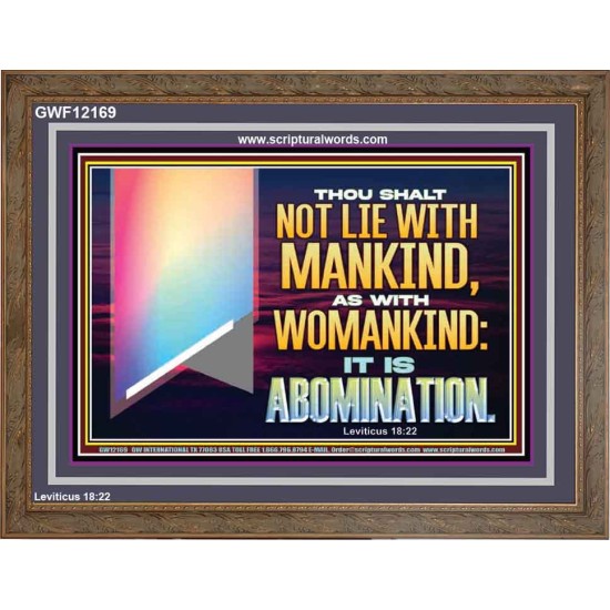 THOU SHALT NOT LIE WITH MANKIND AS WITH WOMANKIND IT IS ABOMINATION  Bible Verse for Home Wooden Frame  GWF12169  