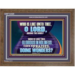 FEARFUL IN PRAISES DOING WONDERS  Ultimate Inspirational Wall Art Wooden Frame  GWF12320  "45X33"