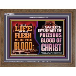 AVAILETH THYSELF WITH THE PRECIOUS BLOOD OF CHRIST  Children Room  GWF12375  "45X33"