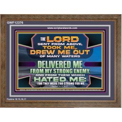 DELIVERED ME FROM MY STRONG ENEMY  Sanctuary Wall Wooden Frame  GWF12376  "45X33"