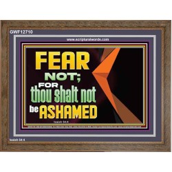 FEAR NOT FOR THOU SHALT NOT BE ASHAMED  Scriptural Wooden Frame Signs  GWF12710  "45X33"