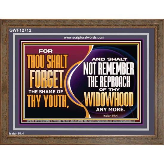 THOU SHALT FORGET THE SHAME OF THY YOUTH  Encouraging Bible Verse Wooden Frame  GWF12712  