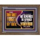THOU SHALT FORGET THE SHAME OF THY YOUTH  Encouraging Bible Verse Wooden Frame  GWF12712  
